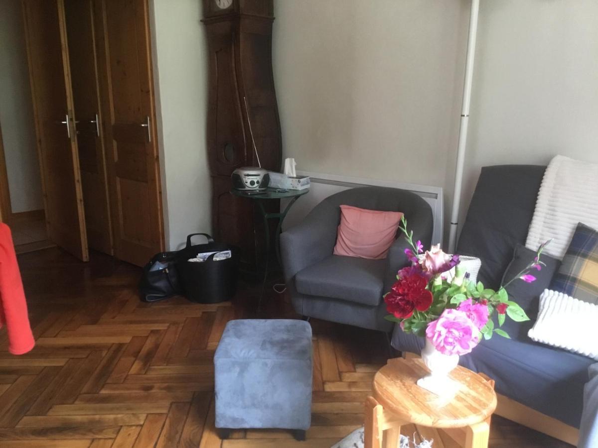 Appartement Typique,Chaleureux Et Pratique Шамони Екстериор снимка